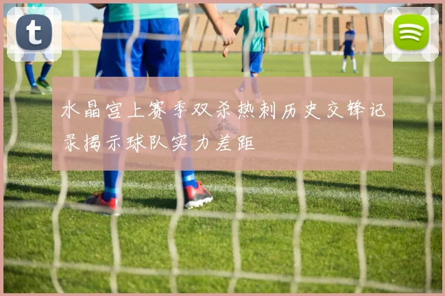 水晶宫上赛季双杀热刺历史交锋记录揭示球队实力差距