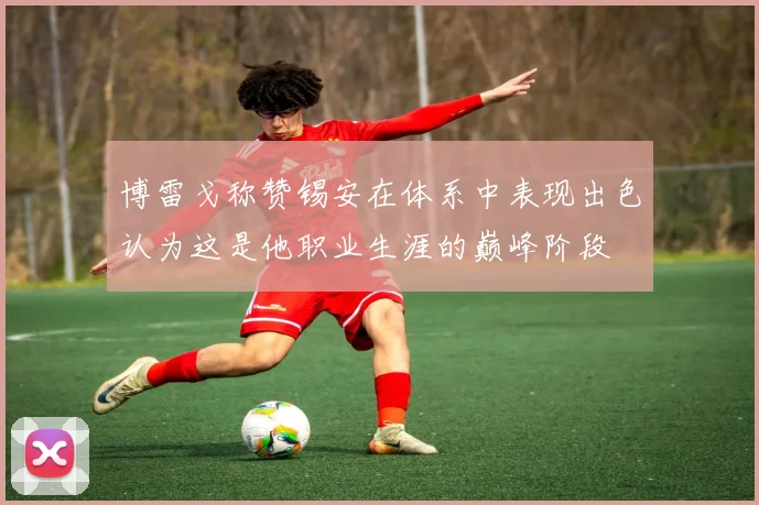 博雷戈称赞锡安在体系中表现出色认为这是他职业生涯的巅峰阶段