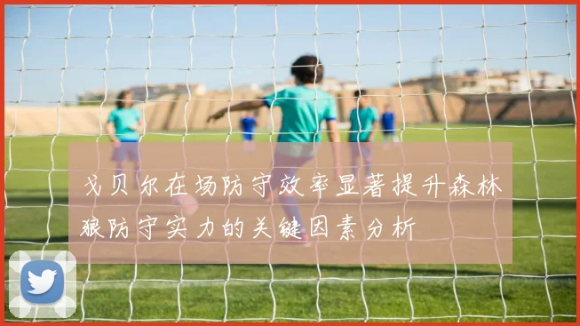 戈贝尔在场防守效率显著提升森林狼防守实力的关键因素分析