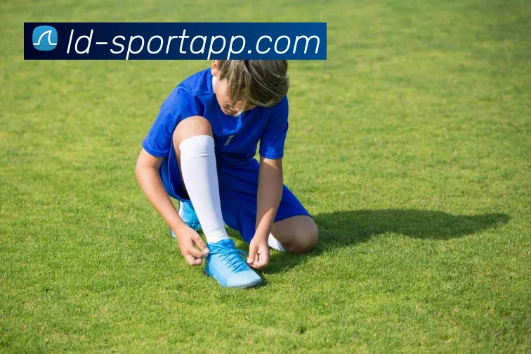 乐动足球平台生态图